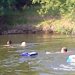 לינה וארוחת בוקר L'autourserie Chahaignes