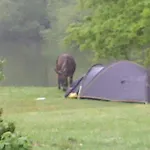 L'autourserie לינה וארוחת בוקר 3*