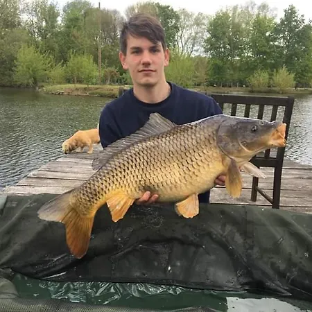 Couette-café L'autourserie 3*