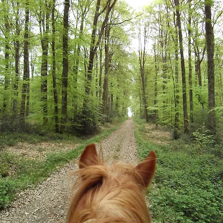 L'autourserie B&B 3*