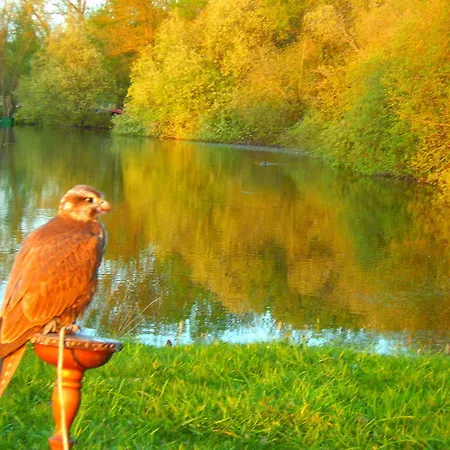 L'autourserie 3* Chahaignes