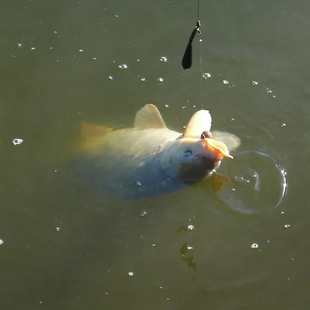 L'autourserie Couette-café