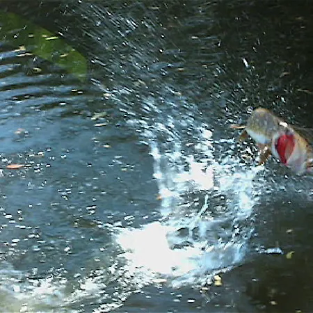 L'autourserie Couette-café 3*