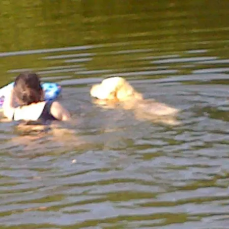 L'autourserie Chahaignes