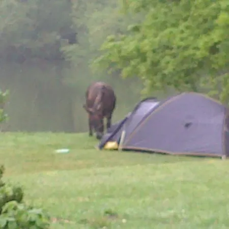 L'autourserie Couette-café 3*