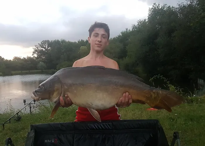 L'autourserie Bed and Breakfast Chahaignes