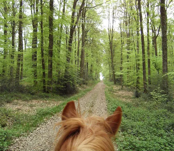 L'autourserie Bed and Breakfast 3*