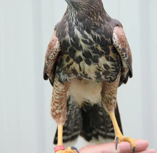 L'autourserie 3* Chahaignes