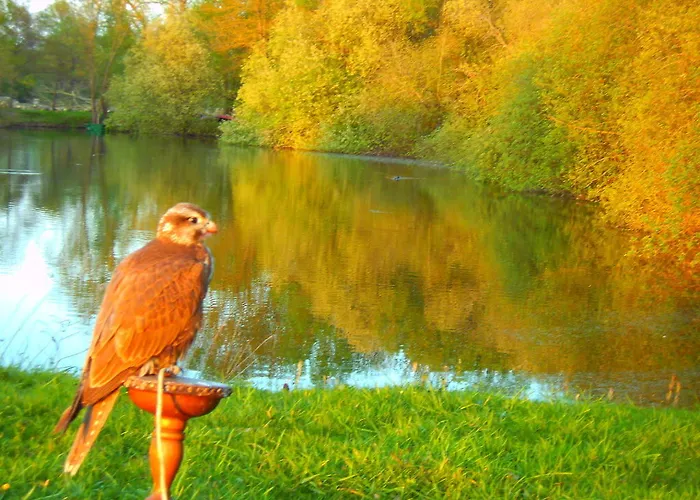 L'autourserie 3* Chahaignes