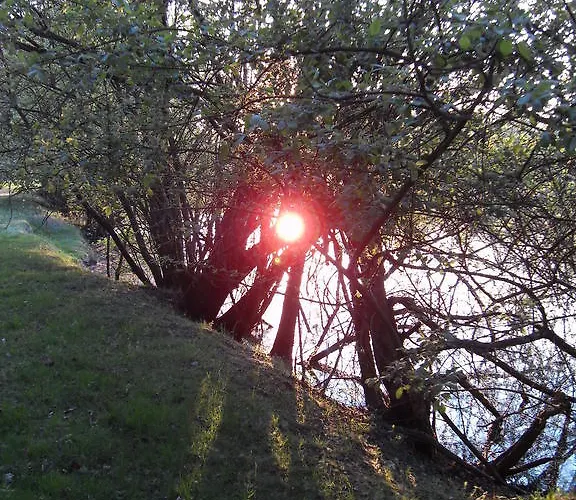 L'autourserie Bed and Breakfast Chahaignes