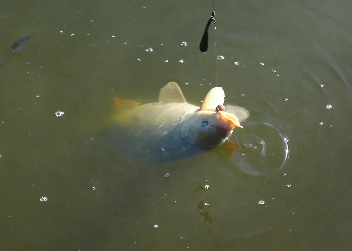 L'autourserie Bed and Breakfast