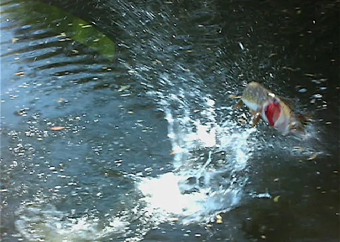 L'autourserie Bed and Breakfast 3*