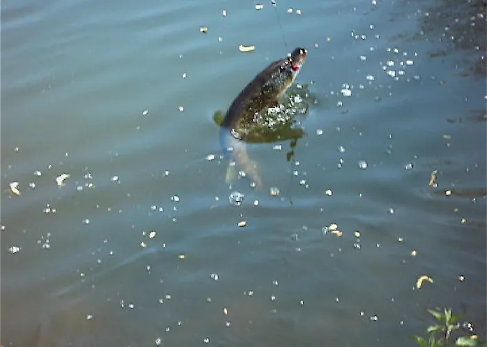 Bed and Breakfast L'autourserie Chahaignes