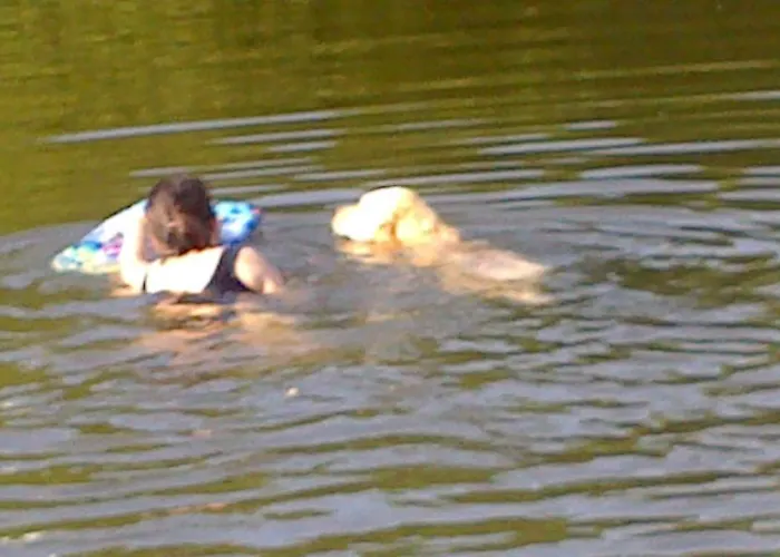 L'autourserie Chahaignes